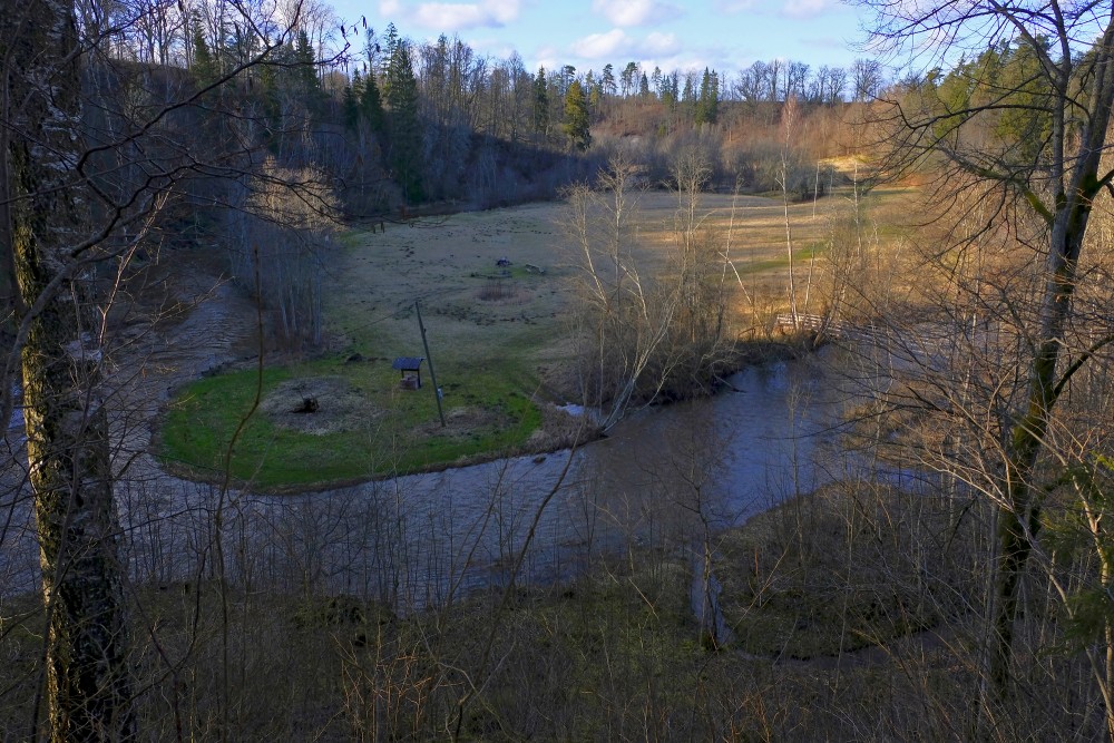 Spring Landscape