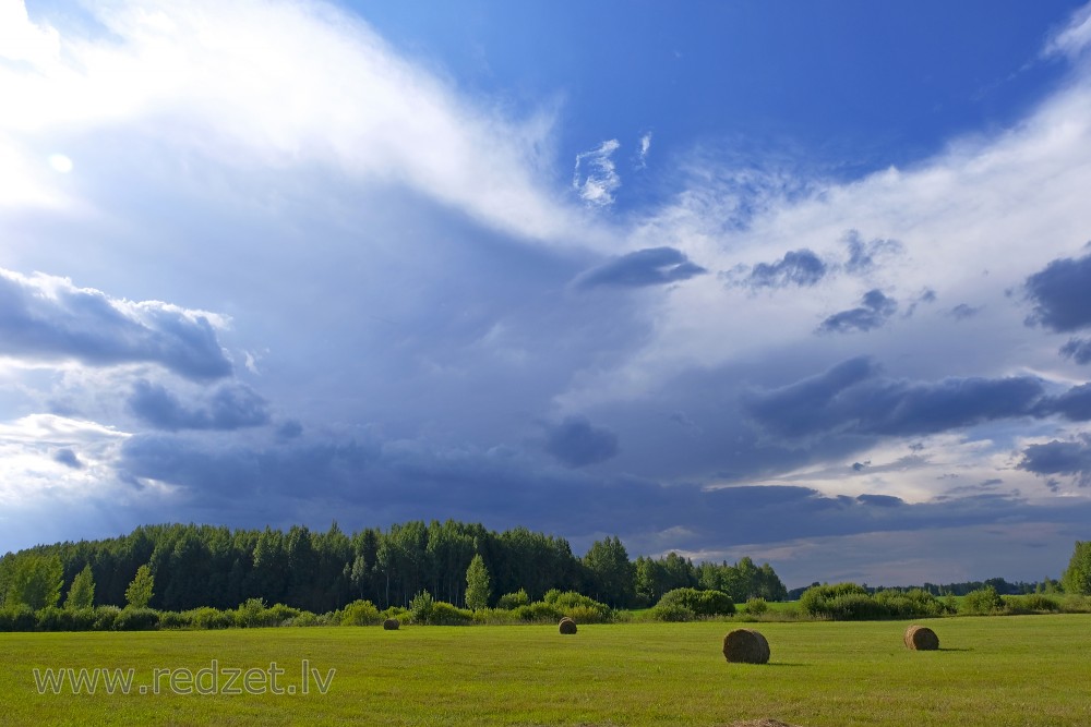 Landscape with hay rolls