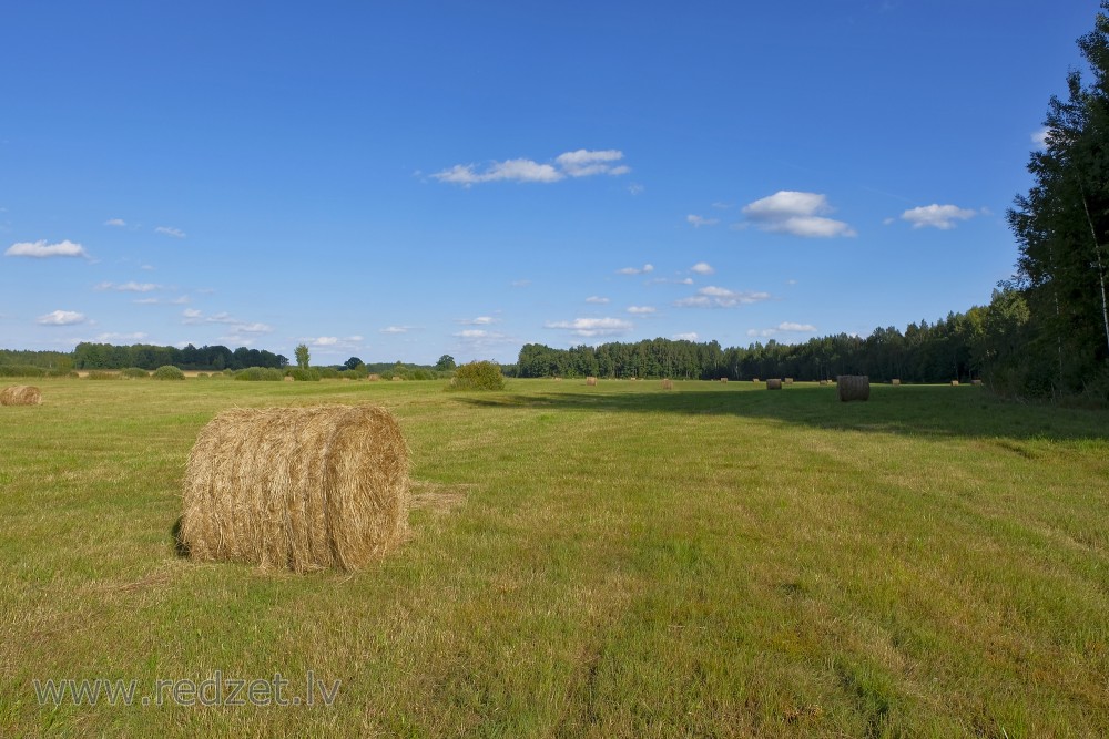 Lauku ainava ar siena ruļļiem