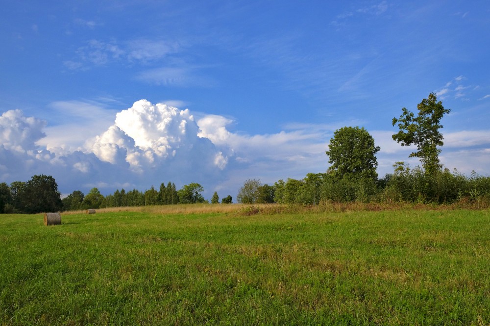 Mowed Meadow, Sky