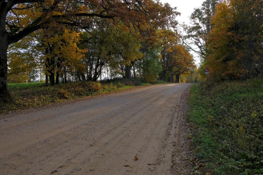 Rudens ainava, grantēts ceļš