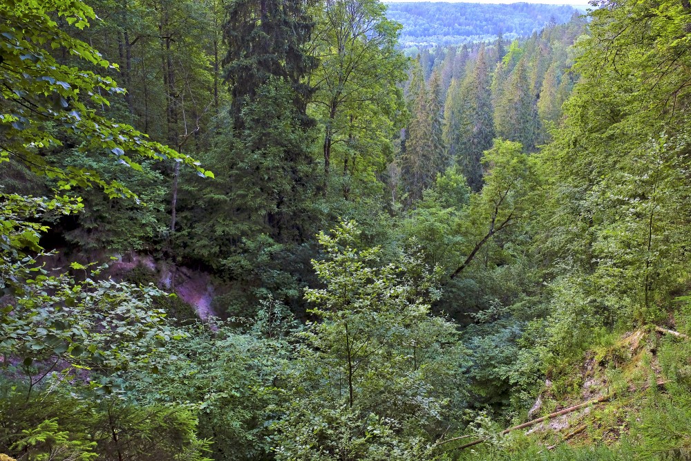 Raganu katls, Sigulda