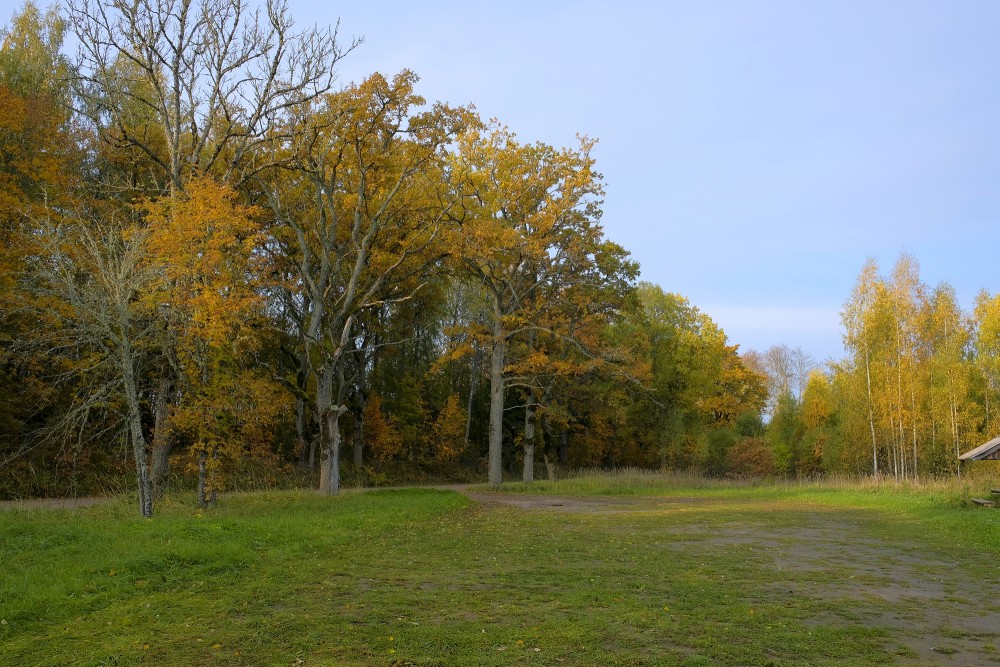 Colorful Autumn Landscape