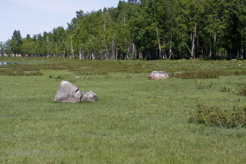Landscape, Latvia