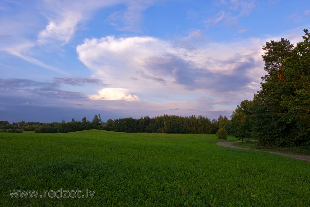 Rural Landscape