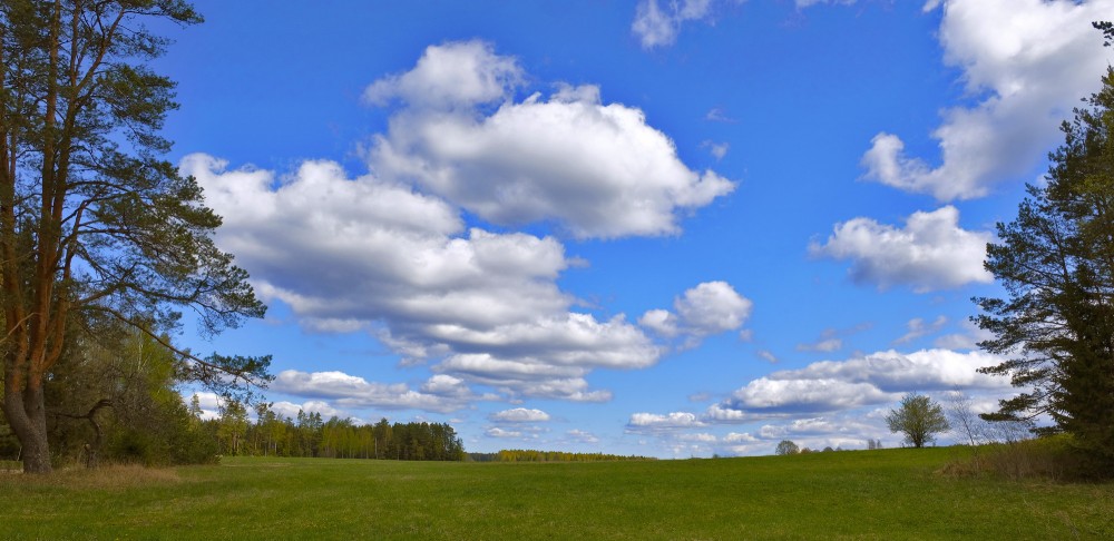 Pavasara ainava ar gubumākoņiem