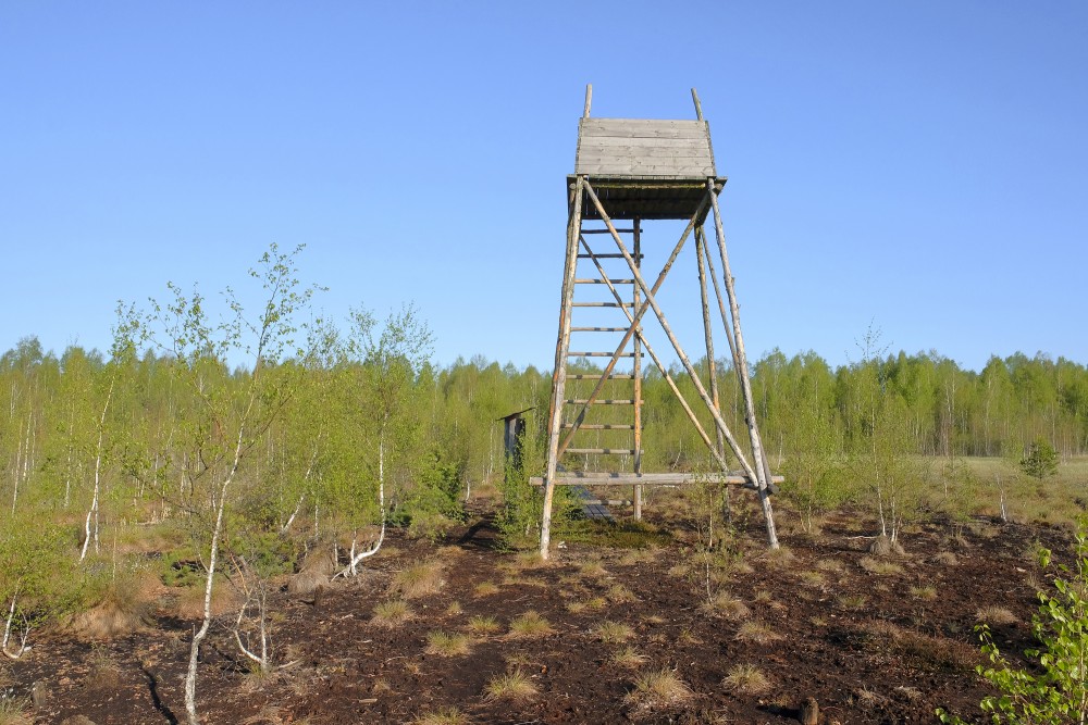 Melnā ezera purva skatu tornis