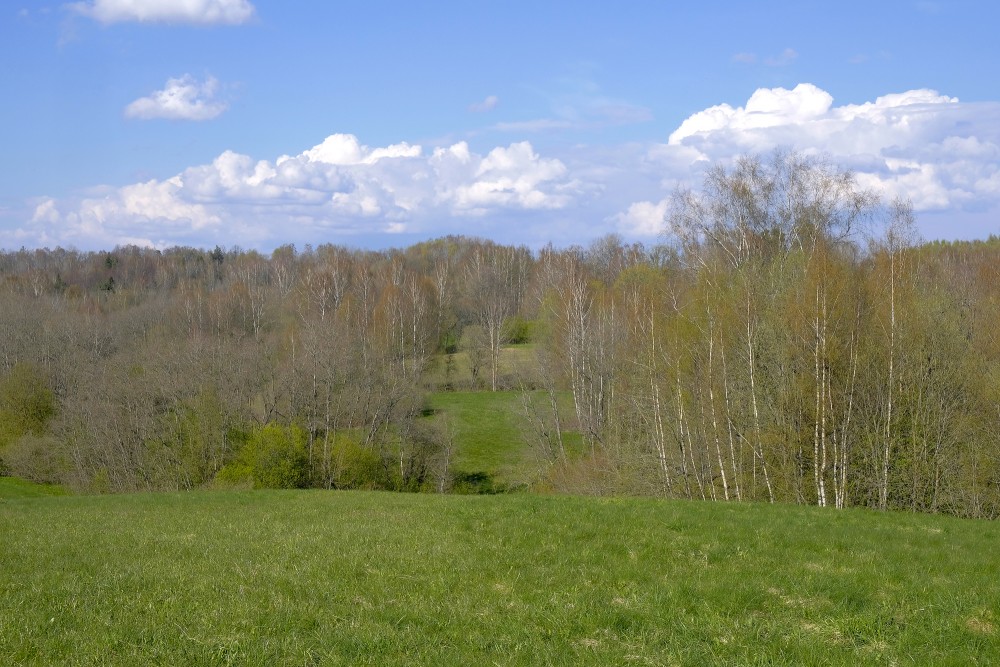 Embūte Nature Park in Spring