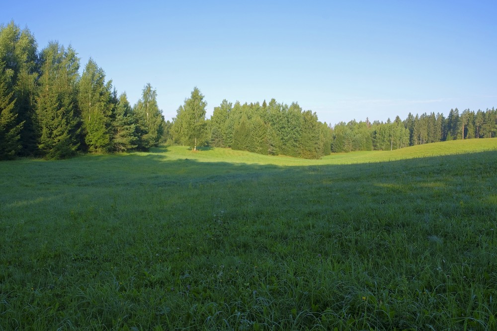 Ainava ar pļavu