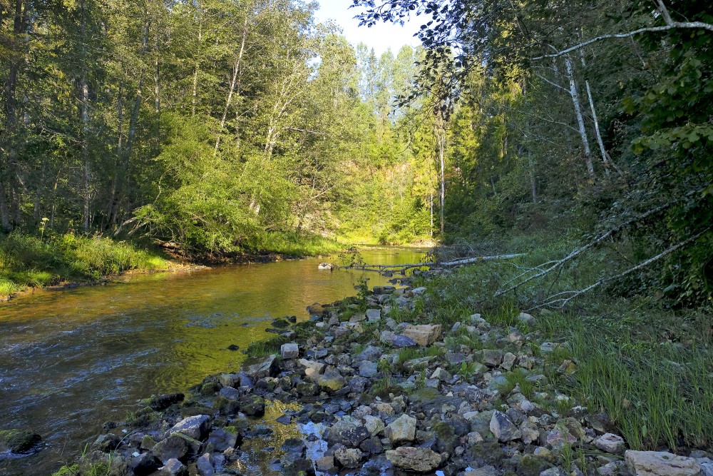 Tālumā Vizuļu iezis, Amatas ģeotaka