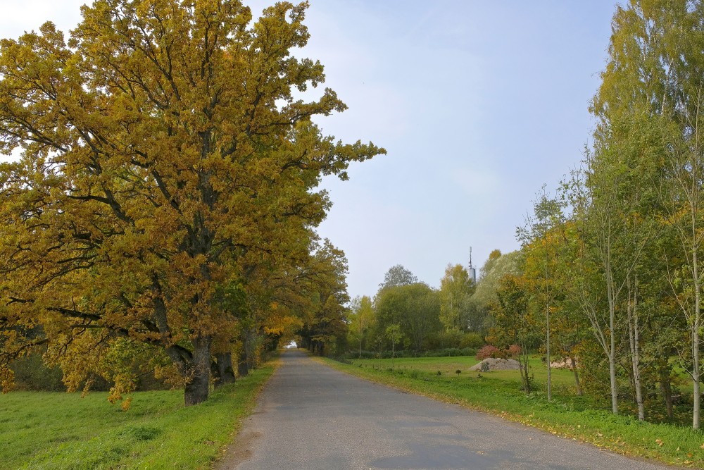 Autumn Landscape
