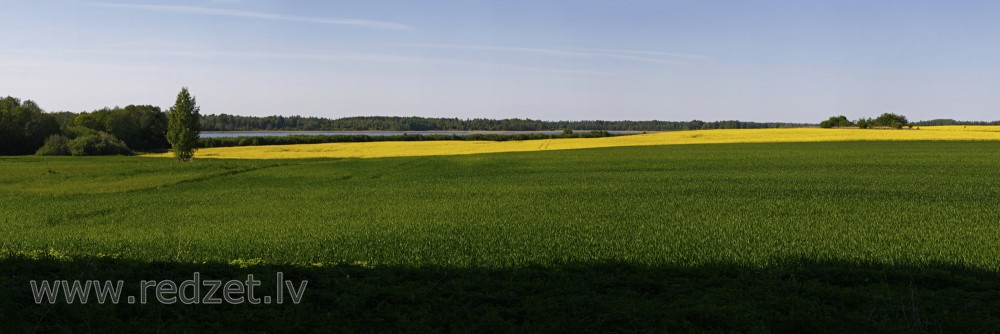 Grain fields Landscape