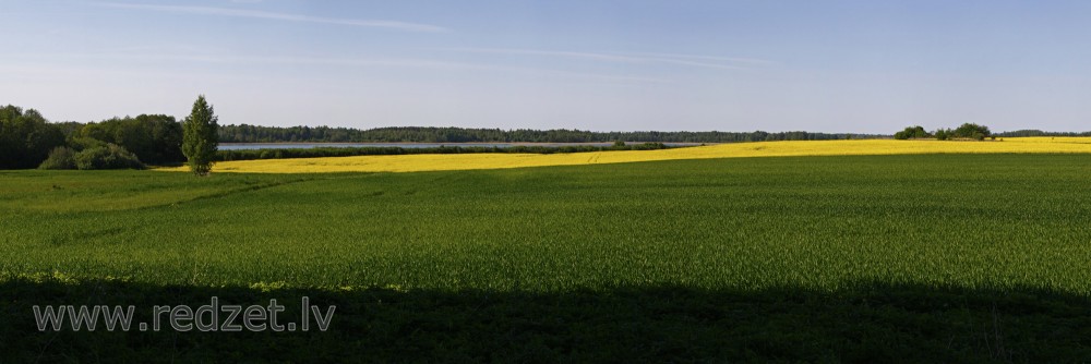 Lauku panorāma