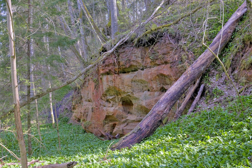 Lorumupes atsegumi Kaļķupes ielejā