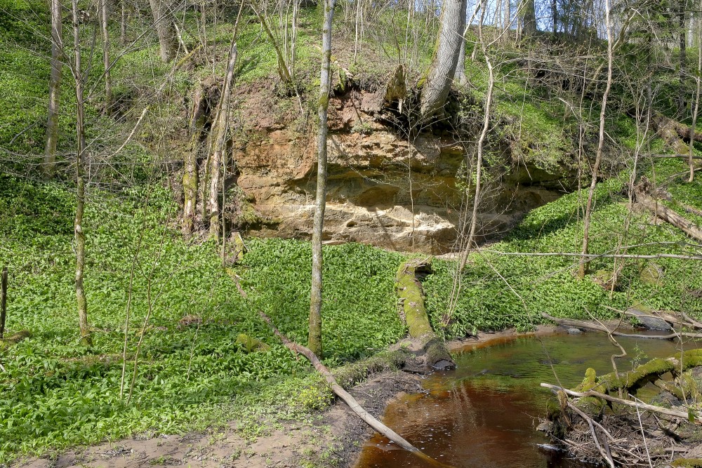 Lorumupe River Sandstone Outcrops