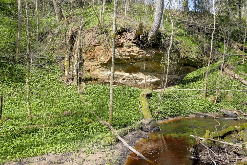 Vīdāles gravas atsegumi Vīdāles gravas atsegumi