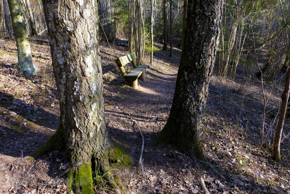 Bench in Barona Trail of Vilce Nature Park