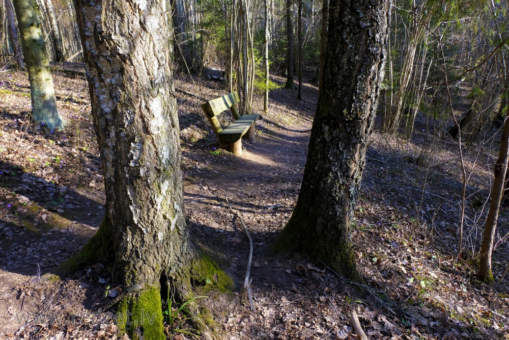 Soliņš Barona takā Vilces dabas parkā