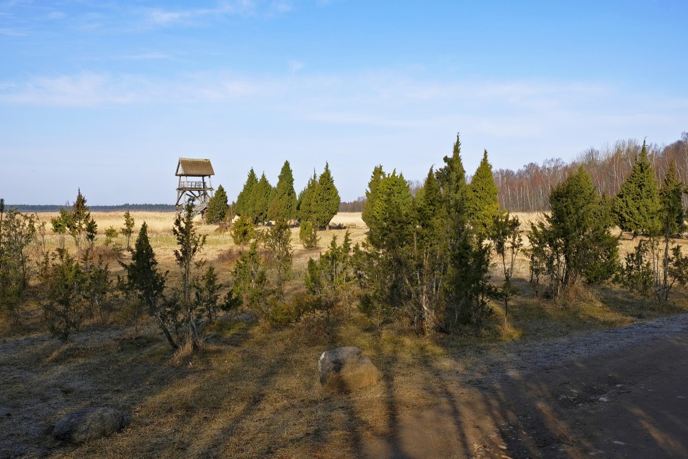 View Of Lake Kaņieris Tower