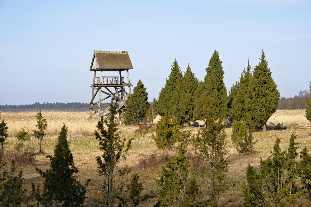 Lake Kaņieris Bird Watching Tower
