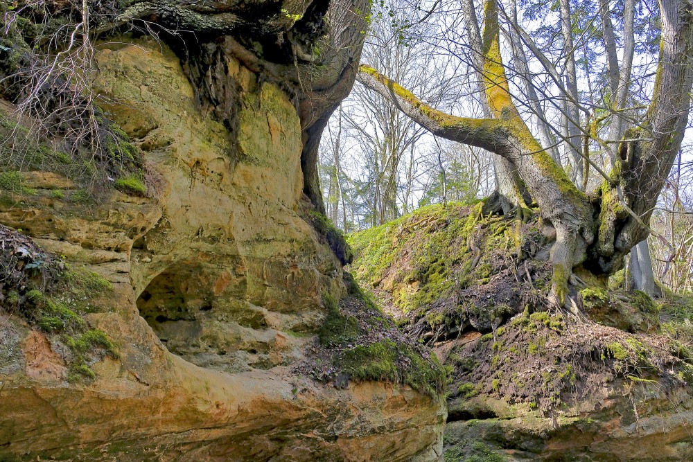 Lorumupes smilšakmens atsegumi