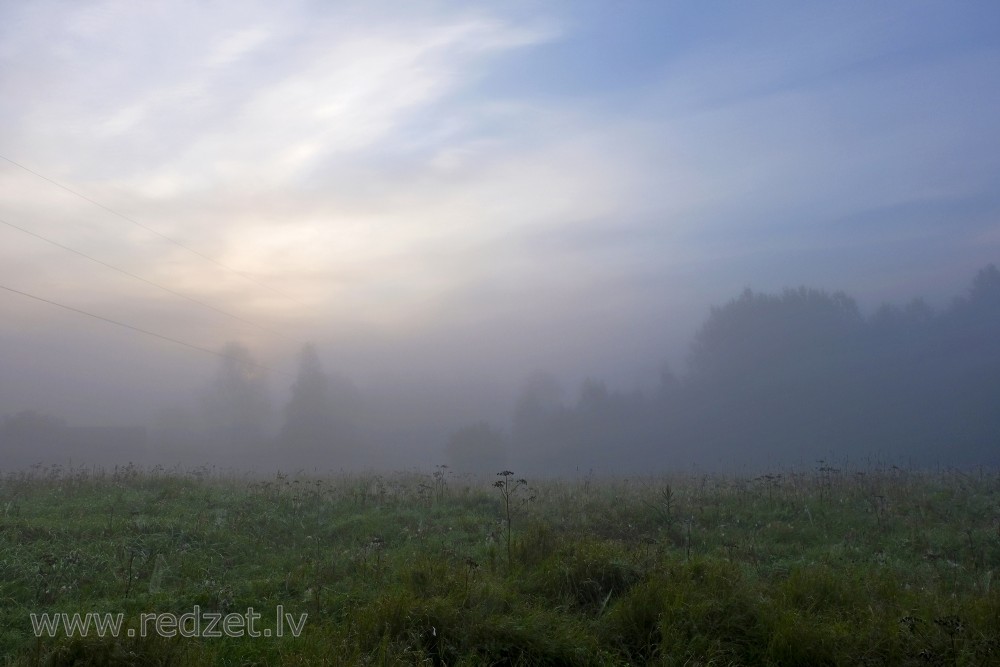 Saullēkts miglainā vasaras rītā