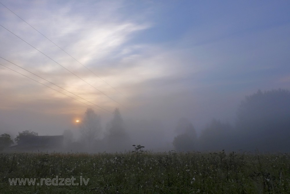 Saullēkts miglainā vasaras rītā