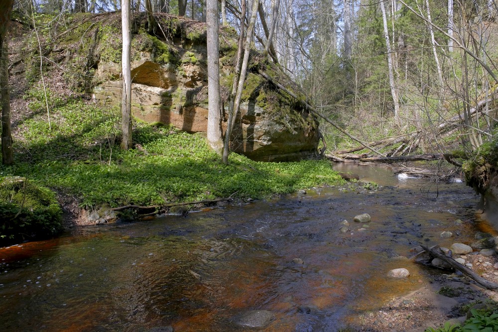 Lorumupe River Sandstone Outcrops