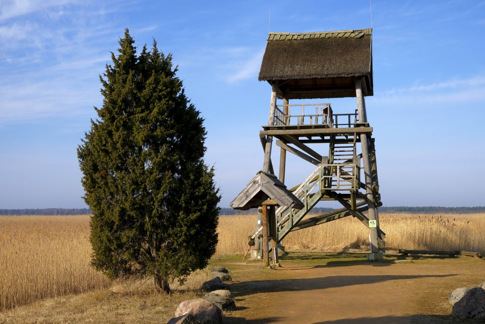 Lake Kaņieris Bird Watching Tower
