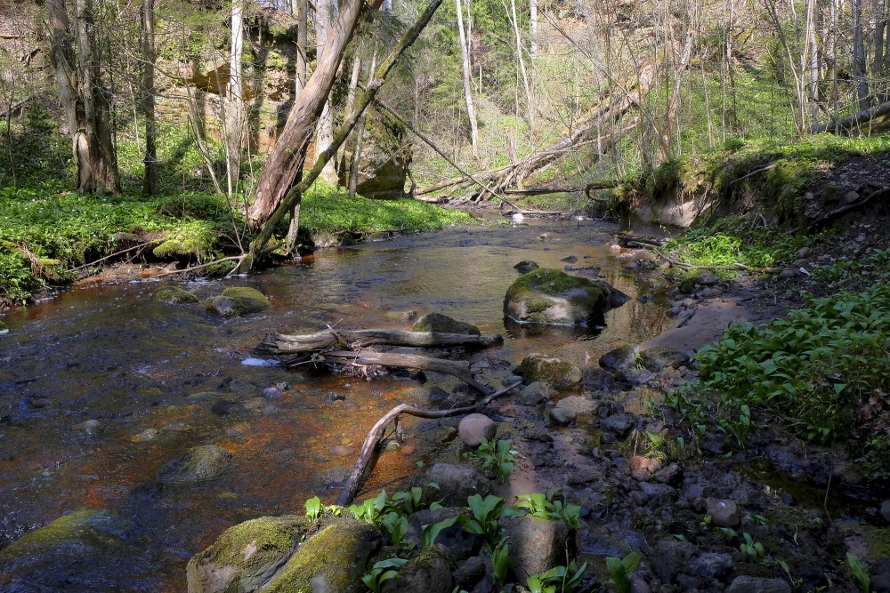 Lorumupes ainava, smilšakmens atsegumi