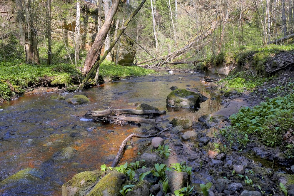 Lorumupes ainava, smilšakmens atsegumi