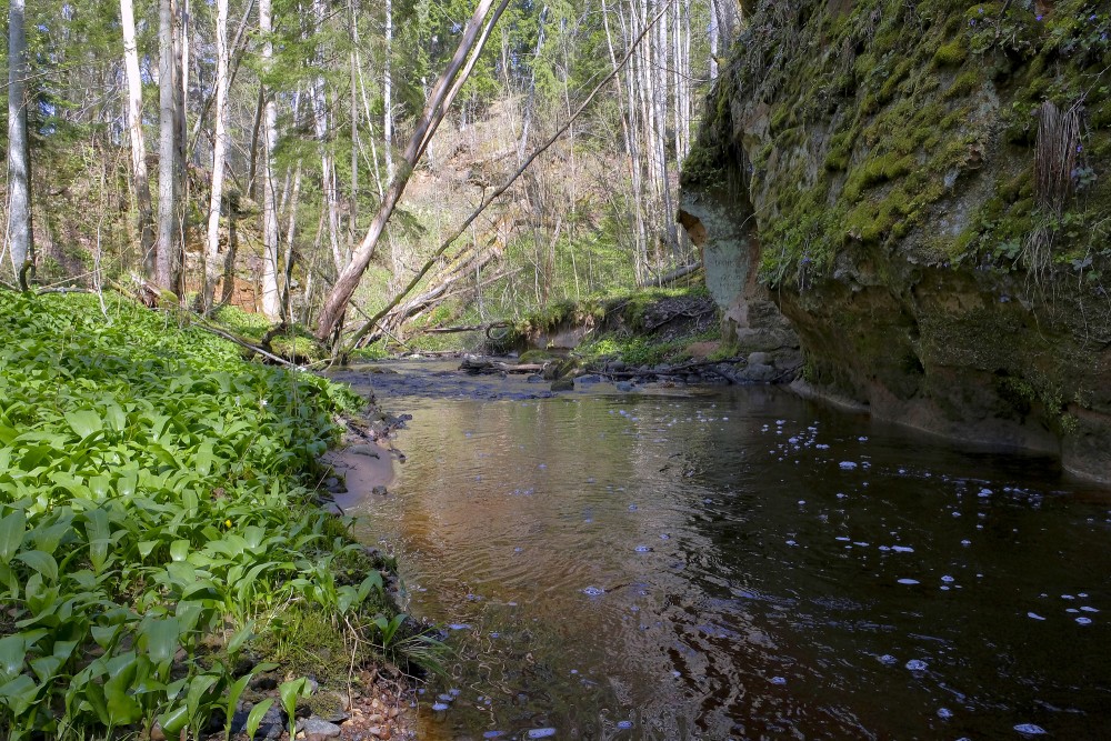 Lorumupe River Sandstone Outcrops