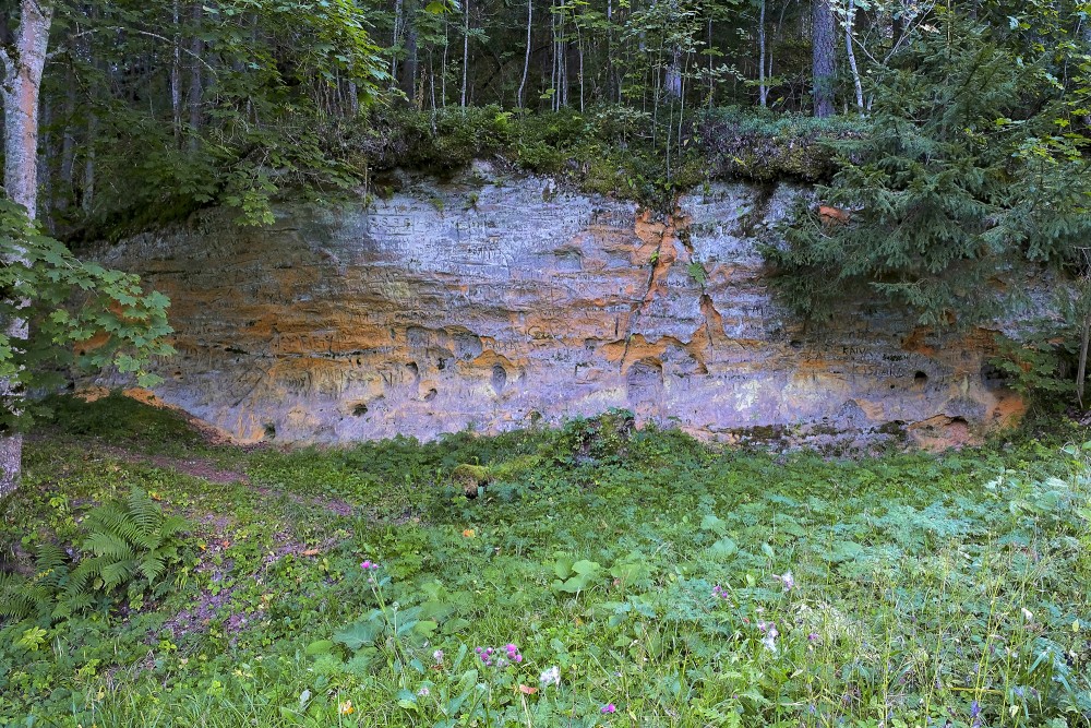 Smilšakmens atsegumi pie Vaives dzirnavām Smilšakmens atsegumi pie Vaives dzirnavām