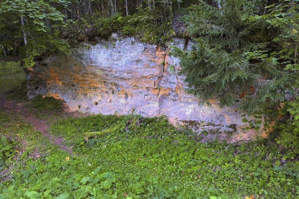 Smilšakmens atsegumi pie Vaives dzirnavām, Vaives dzirnavas, Smilšakmens atsegumi