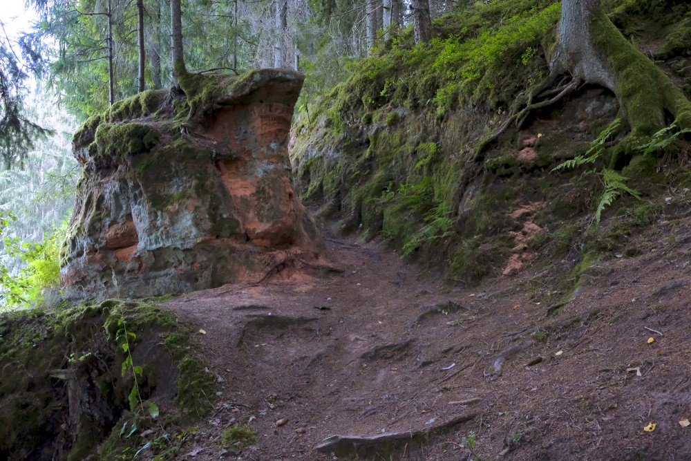 Sandstone Outcrops near the Vaive Mill