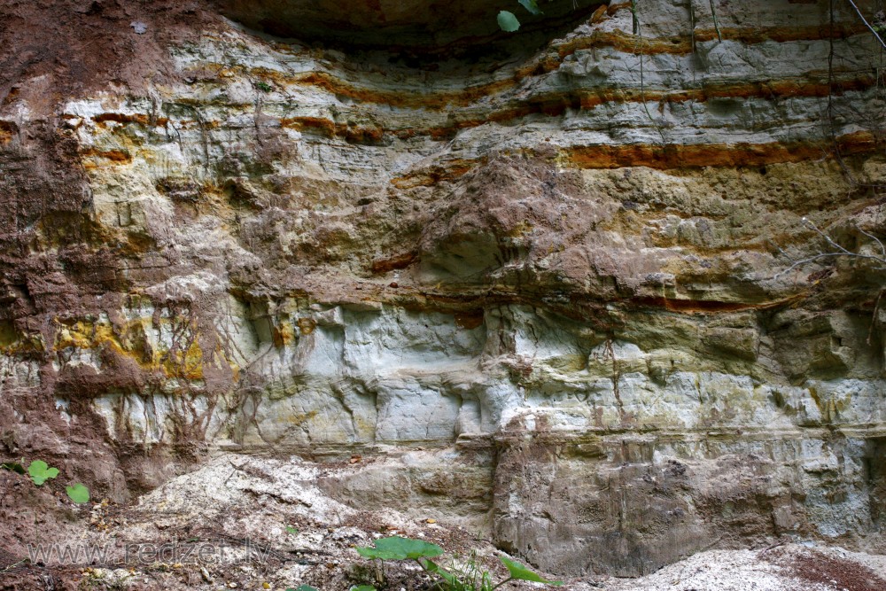 Dolomite outcrop, Latvia, Omiki