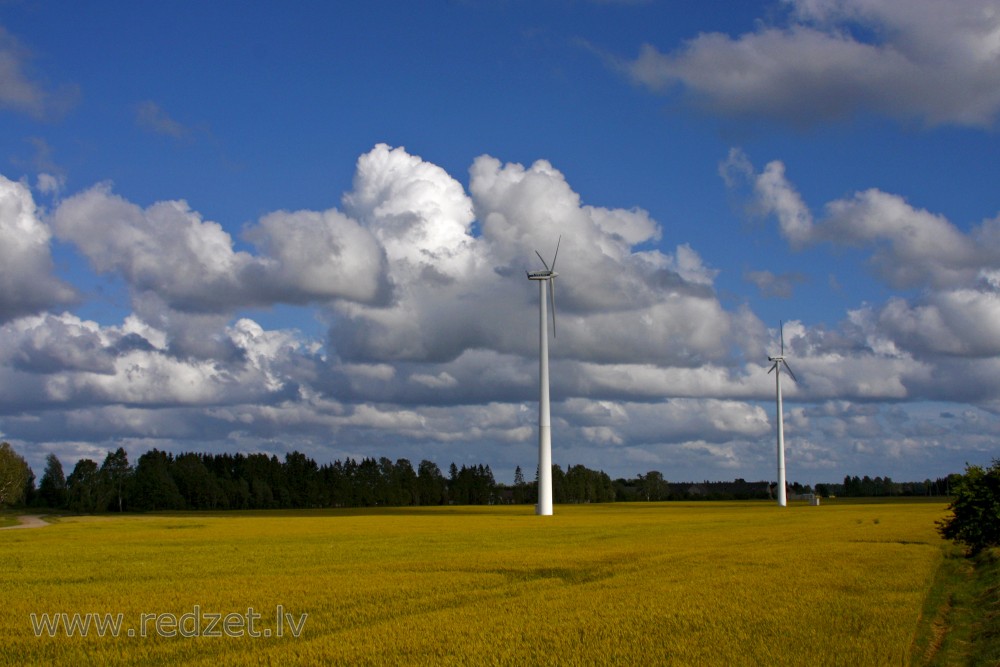 Wind Power Generators in Rape Field