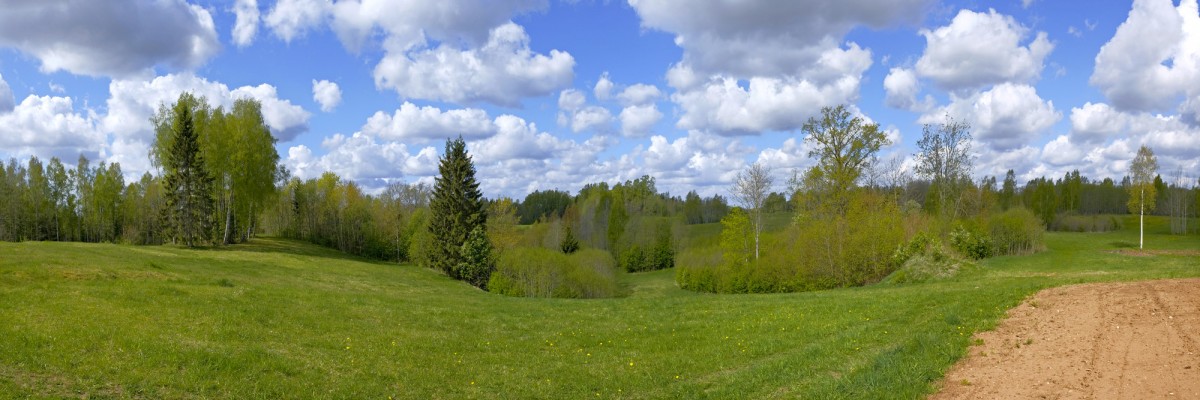 Pauguraina lauku panorāma ar mākoņiem Pauguraina lauku panorāma ar mākoņiem
