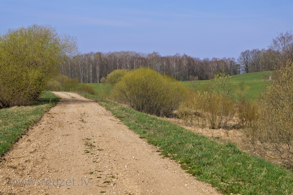 Rural Road in Spring near Tērvete Reservoir (Swans Pond)