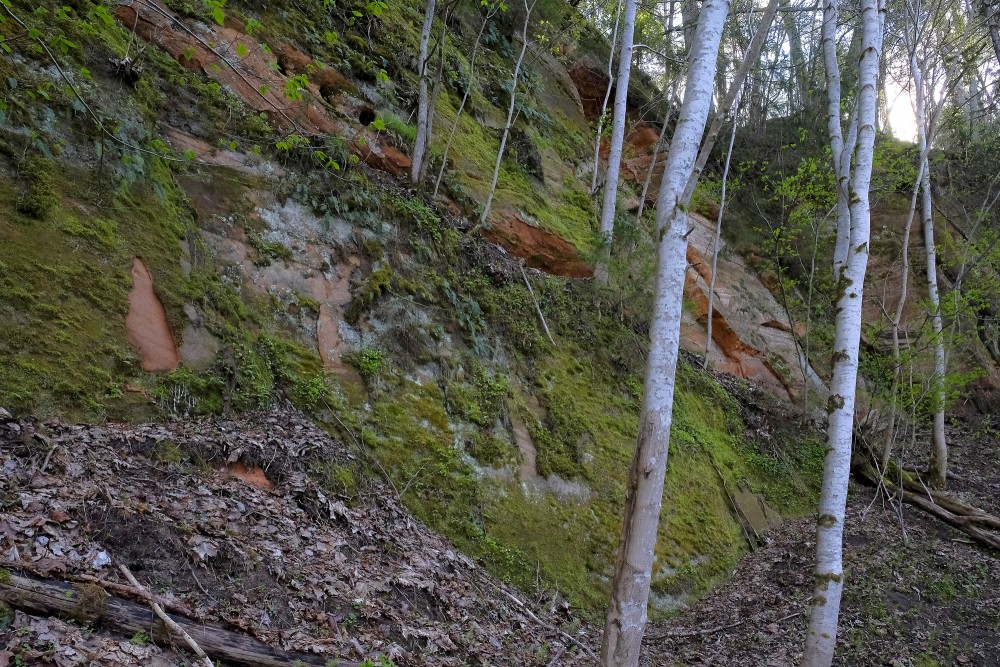 Tītmaņu iezis (Līgatne)