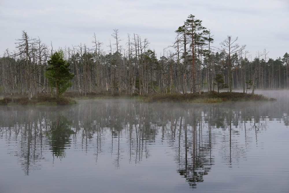 Lake Skaists On A Foggy Morning