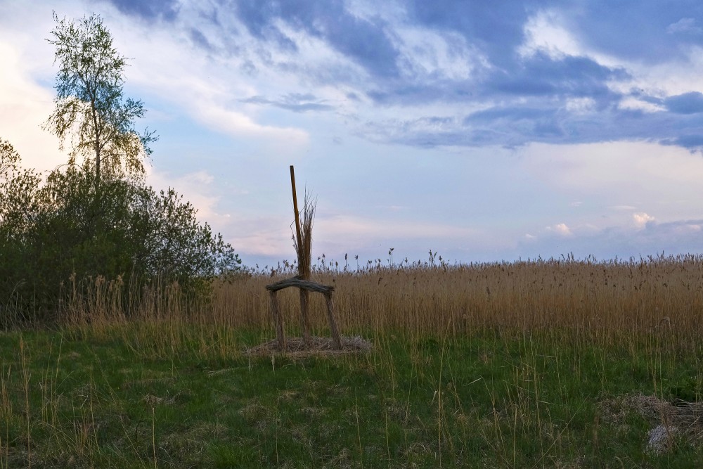 Randu Meadow Landscape
