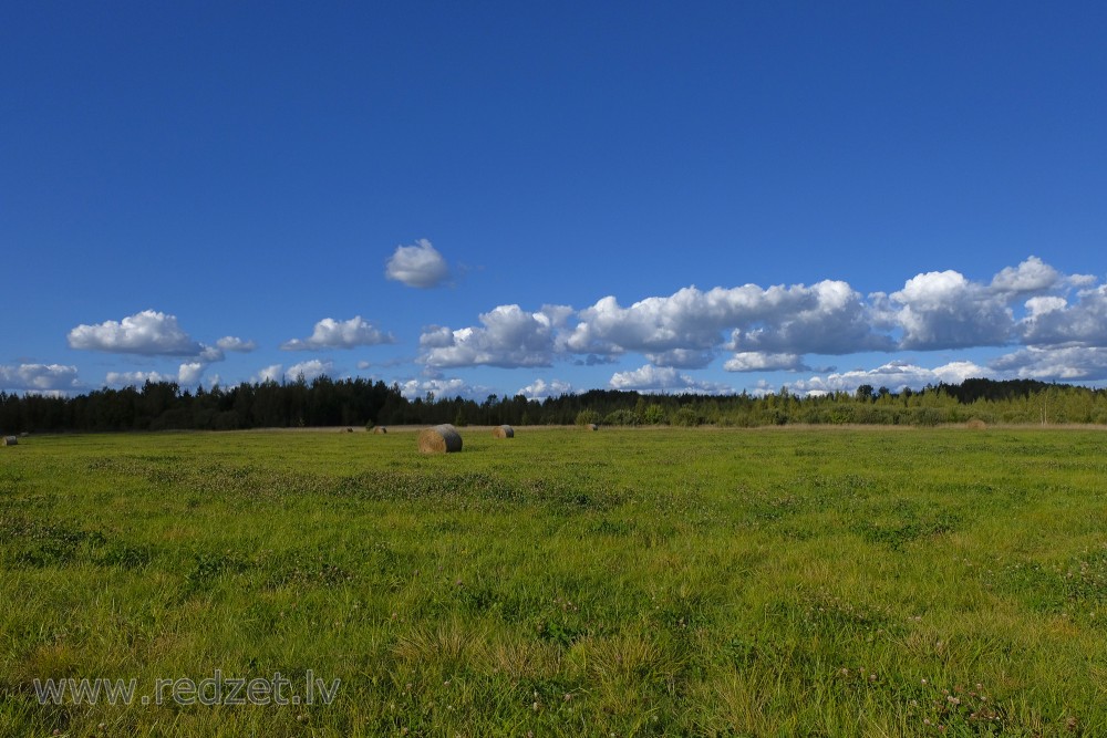 Pļava ar siena ruļļiem