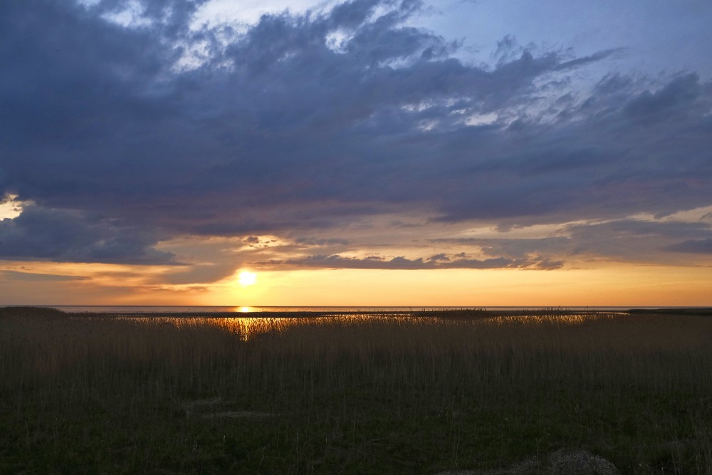 Sunset In Randu Meadows
