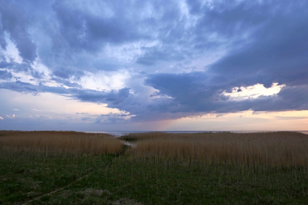 Sunset In Randu Meadows