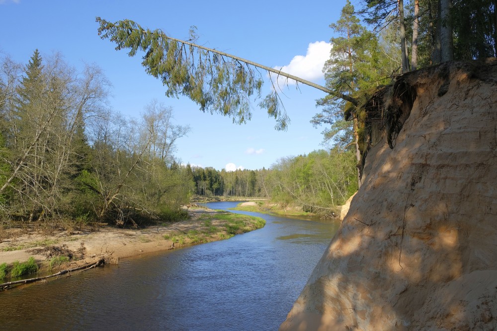 Jumpravu iezis (Līgatne)