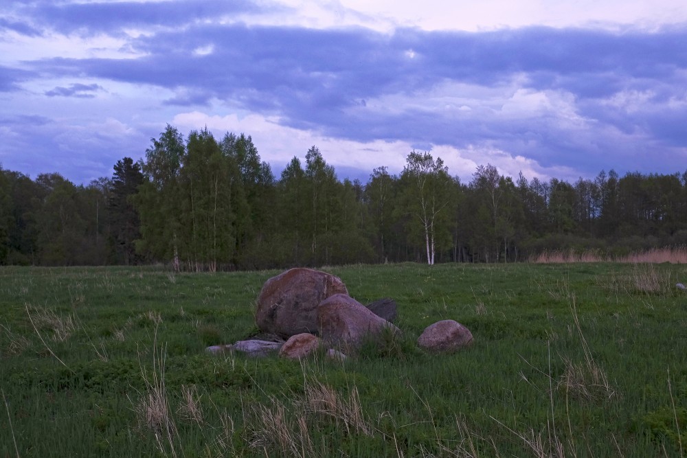 Stones In Randu Meadows