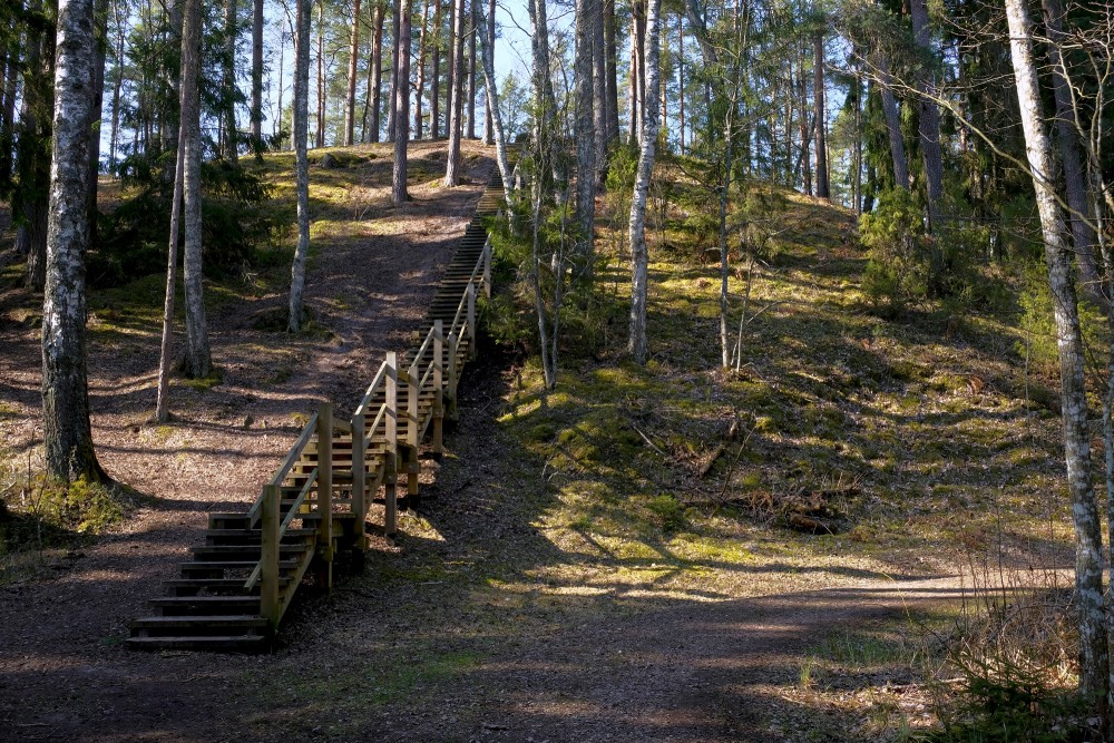 Green Dune, Ķemeri, Latvia
