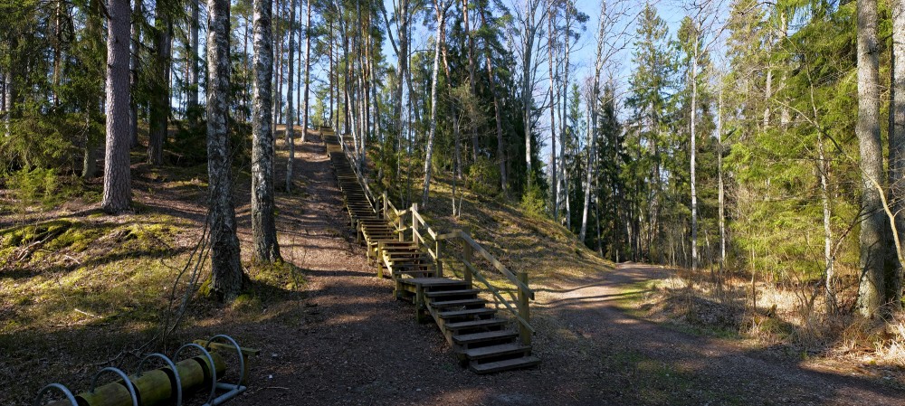 Green Dune Panorama, Ķemeri, Latvia