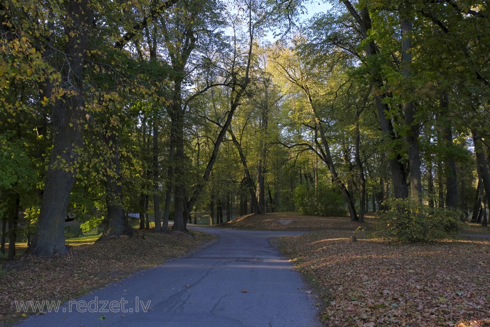 Pils ceļš uz Zaļo muižu